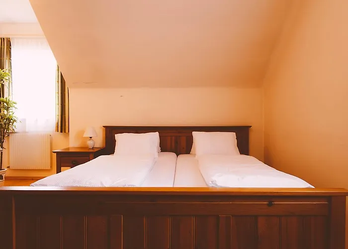 Schuedlbauer's Hotel-restaurant-bar Hotel